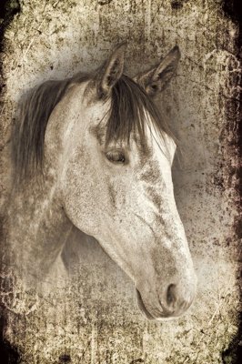 File PSD File mã đáo thành công MD6099 (bản gốc) độ phân giải cao