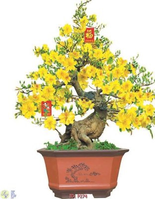 File PSD File phật giáo P274 (bản gốc) độ phân giải cao