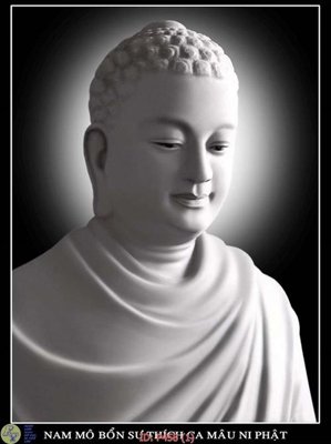 Tải file File phật giáo P458 (PSD) cho in ấn quảng cáo