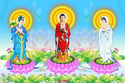 File tranh File phật giáo P55 (gốc) in vải canvas