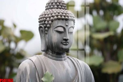 File in ấn File tranh phật giáo 5D P5D1163 chuyên nghiệp