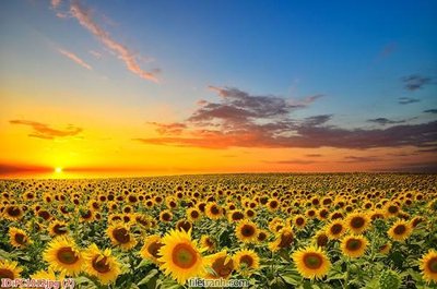 Tải file PSD File gốc phong cảnh PC1012 (nguyên layer) để in