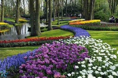 File gốc File gốc phong cảnh PC102 (in mica) cắt laser