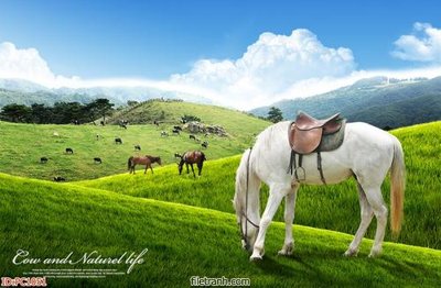 File ảnh File gốc phong cảnh PC1051 (gốc) in Hiflex