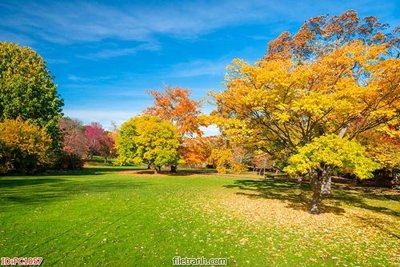 Tải file File gốc phong cảnh PC1057 (gốc) để in ấn ngay