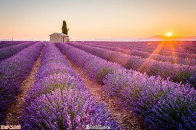 File gốc File gốc phong cảnh PC1060 (in lụa) cao cấp