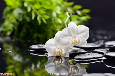 File in lụa File gốc phong cảnh PC1061 (hoa văn) File gốc phong cảnh PC1061