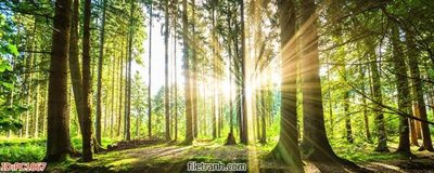 Tải file gốc File gốc phong cảnh PC1067 (in bạt) quảng cáo