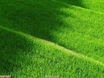 File in ấn File gốc phong cảnh PC1077 (bản gốc) từ file gốc