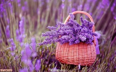 Tải về hình ảnh gốc File gốc phong cảnh PC1079 sắc nét