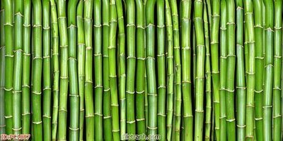 File PSD File gốc phong cảnh PC1087 (bản gốc) cho nhà in