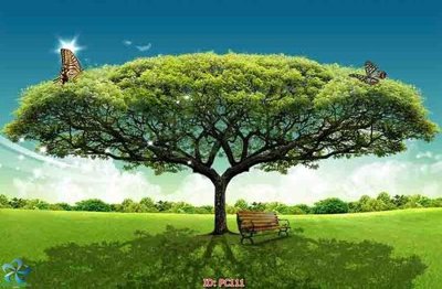 Ảnh gốc File gốc phong cảnh PC111 (nét căng) in mica