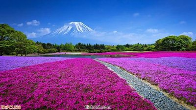 File in trần File gốc phong cảnh PC1130 (bản gốc) trời sao