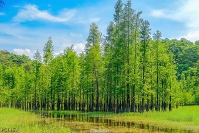 Tải file gốc File gốc phong cảnh PC1153 dùng cho in ấn