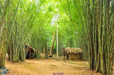 File gốc File gốc phong cảnh PC117 (AI/EPS) cho in ấn