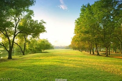 File gốc File gốc phong cảnh PC1171 (phong cách) tối giản