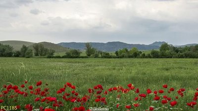 Tải về hình ảnh gốc File gốc phong cảnh PC1185 sắc nét