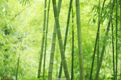 File gốc File gốc phong cảnh PC1205 (trang trí) phòng làm việc