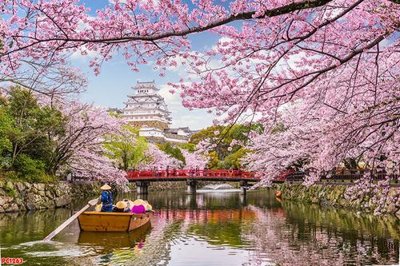 File gốc File tranh phong cảnh PC1263 (ảnh rõ nét) để in