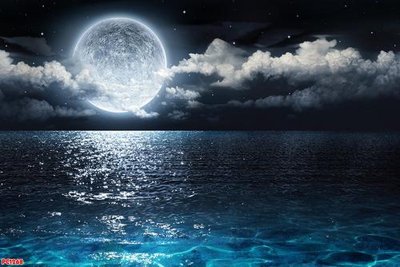 File gốc File tranh phong cảnh PC1268 (in tráng gương) sang trọng