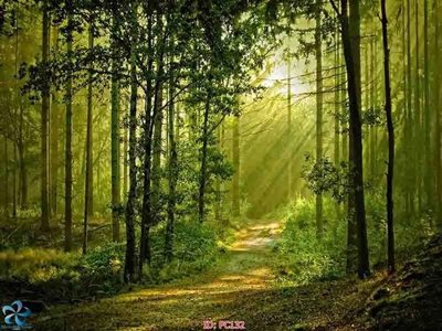 Tệp tin gốc File gốc phong cảnh PC132 (dùng cho in) File gốc phong cảnh PC132