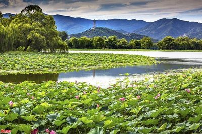 Tải file gốc File tranh phong cảnh PC1331 (in tráng gương) 5DFile gốc File tranh phong cảnh PC1331 (in ấn) phiên bản premium