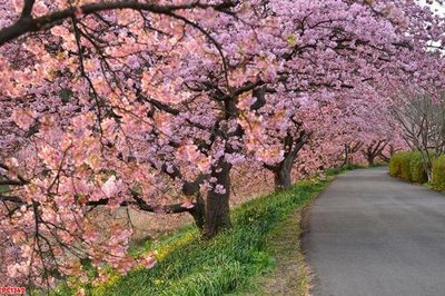 Tải file File tranh phong cảnh PC1342 (ảnh gốc) in gạch 3D