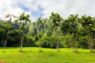 File gốc File tranh phong cảnh PC1366 (dành cho quảng cáo)