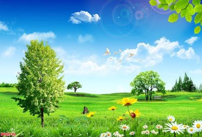 File gốc File tranh phong cảnh PC1377 (chuẩn CMYK) cho nhà in