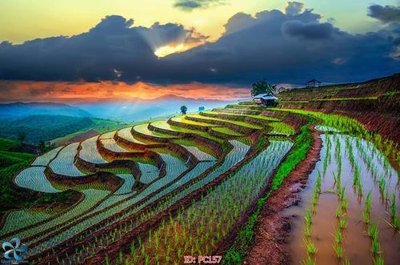 File ảnh File gốc phong cảnh PC157 (gốc) in biển hiệu