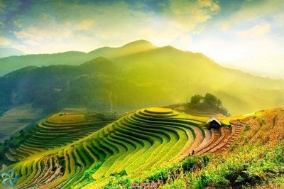 File in mica File gốc phong cảnh PC158 (bản gốc) làm vách ngăn