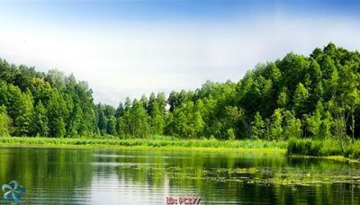 Tải xuống file tranh gốc File gốc phong cảnh PC177 (PSD/TIFF)