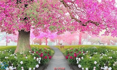 File ảnh File gốc phong cảnh PC195 (gốc) cho trang trí nhà hàng