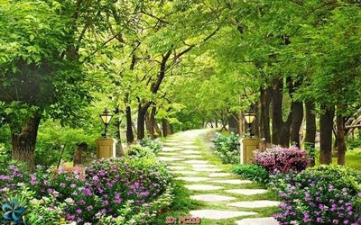 Tải file gốc File gốc phong cảnh PC218 (bản PSD) chỉnh sửa được