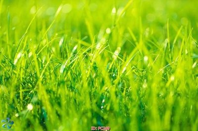 Tải file gốc File gốc phong cảnh PC249 (in khổ lớn) quảng cáo