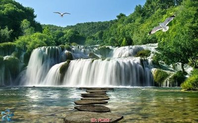 File in mica File gốc phong cảnh PC263 (bản gốc) làm vách ngăn