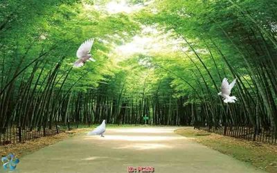 Tải file gốc File gốc phong cảnh PC293 (bản PSD) còn layer