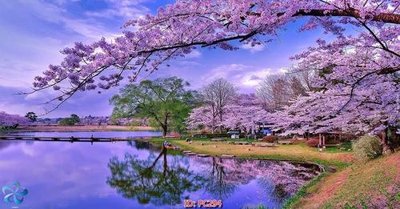 Ảnh gốc File gốc phong cảnh PC294 (độ nét cao) in mica