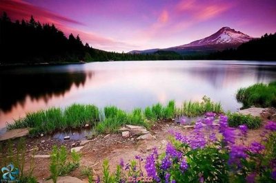 Tệp tin gốc File gốc phong cảnh PC322 (chất lượng cao) File gốc phong cảnh PC322