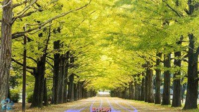 Hình ảnh file gốc in lụa File gốc phong cảnh PC364