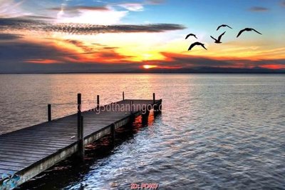 File tranh File gốc phong cảnh PC407 (gốc) chủ đề động vật