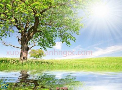 File gốc File gốc phong cảnh PC410 (ảnh chi tiết) để in lụa