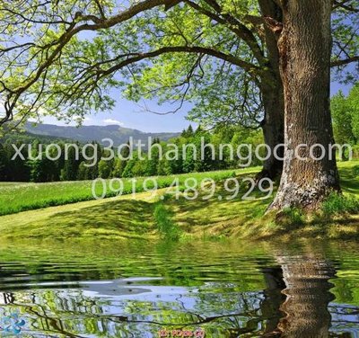 Tải file File gốc phong cảnh PC456 (ảnh gốc) in tráng gương