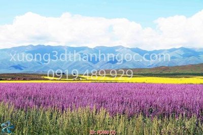 File tranh in trần 3D File gốc phong cảnh PC460 (ảnh gốc)