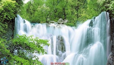 File in trần File gốc phong cảnh PC479 (bản gốc) hoa văn