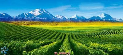 File gốc File gốc phong cảnh PC493 (phong cách) tối giản