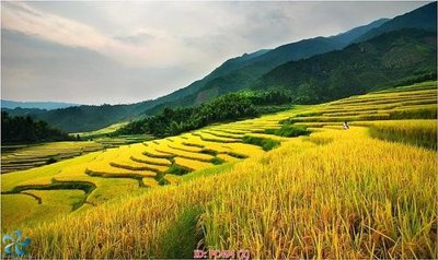 File gốc File gốc phong cảnh PC494 (in tráng gương) ốp tường