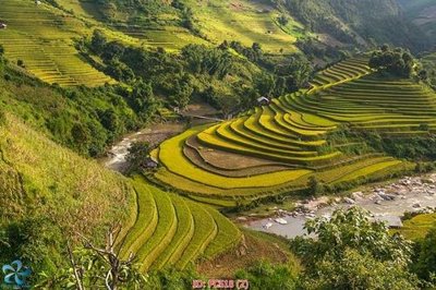 File in mica File gốc phong cảnh PC518 (ảnh gốc) đẹp