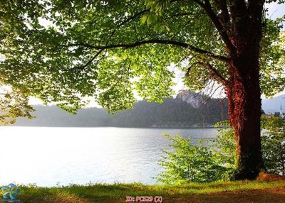 File PSD in ấn File gốc phong cảnh PC529 (chất lượng cao)