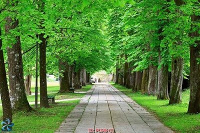 File ảnh File gốc phong cảnh PC546 (gốc) in Hiflex